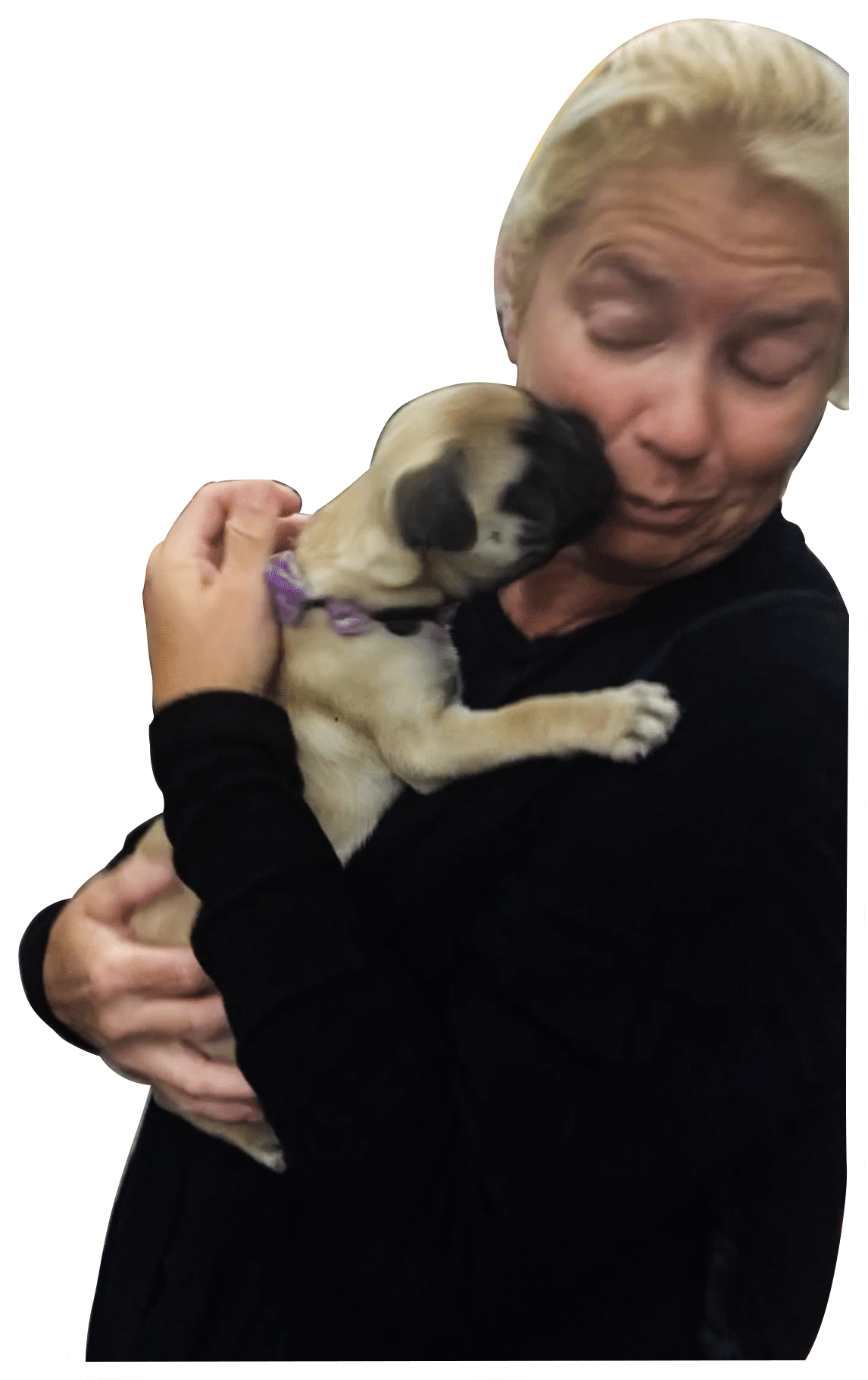 Happy puppy kissing Claudia Boddy